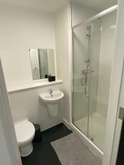 Rapid'S Studio Apartment 利物浦 外观 照片